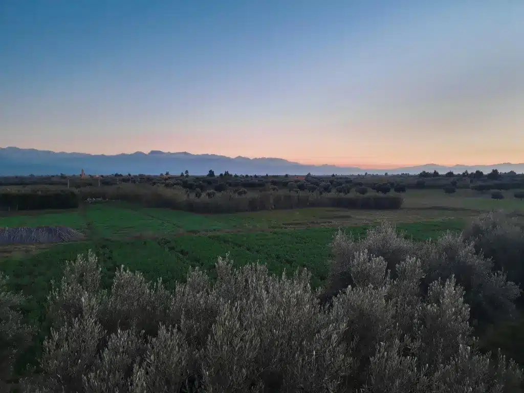 Agricultural Land Morocco: Rules, Risks, and Investment Benefits