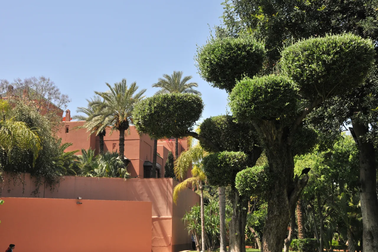 Luxury villa surrounded by lush greenery and sculpted trees, showcasing biophilic design real estate principles.