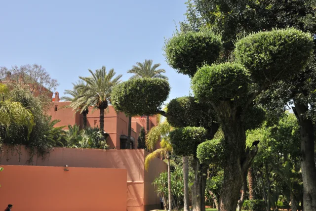 Luxury villa surrounded by lush greenery and sculpted trees, showcasing biophilic design real estate principles.